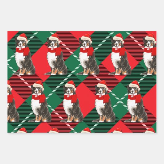 Bernese Mountain Dog met kersttartan Inpakpapier Vel (Voorkant 3)