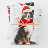 Bernese Mountain Dog met kersttartan Inpakpapier Vel (In situ)