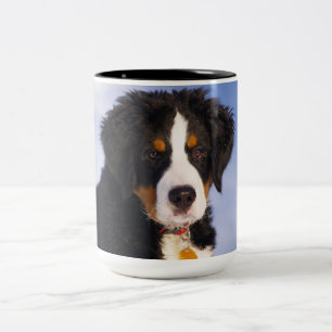 Bernese Mountain Dog - Mooie Puppy Foto Tweekleurige Koffiemok