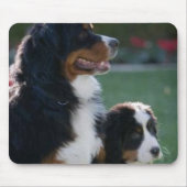Bernese Mountain Dog Mousepad Muismat (Voorkant)
