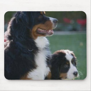 Bernese Mountain Dog Mousepad Muismat