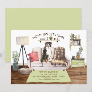 Bernese Mountain Dog Moving Announcement Kaart