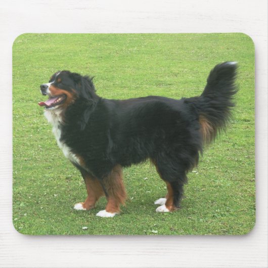 Bernese Mountain Dog Muismat (Voorkant)