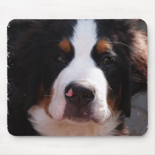 Bernese Mountain Dog Muismat (Voorkant)