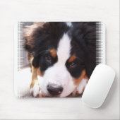 Bernese Mountain Dog Muismat (Met muis)