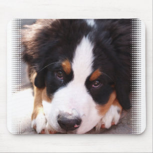 Bernese Mountain Dog Muismat