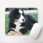 Bernese Mountain Dog Muismat (Met muis)