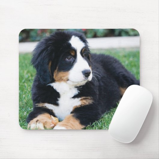 Bernese Mountain Dog Muismat (Met muis)