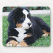Bernese Mountain Dog Muismat (Voorkant)