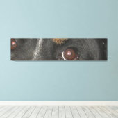 Bernese Mountain Dog Ogen Canvas Afdruk (Insitu (Houten vloer))