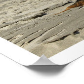 Bernese Mountain Dog op een strand Poster (Hoek)