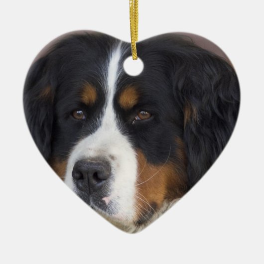 Bernese Mountain Dog Ornament (Voorkant)