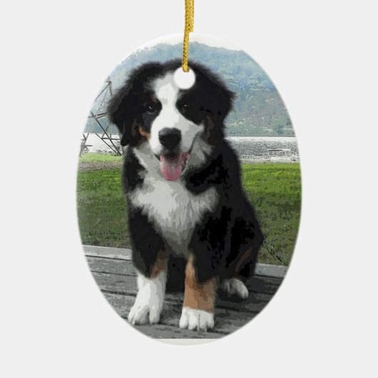 Bernese Mountain Dog Ornament (Voorkant)