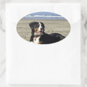 Bernese Mountain Dog Ovale Sticker (Tas)