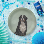 Bernese Mountain Dog Papieren Bordje (Feest)