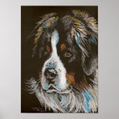 Bernese Mountain Dog Pastel Portrait Poster (Voorkant)