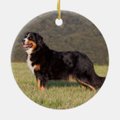 Bernese Mountain Dog Pet Memorial Keramisch Ornament (Achterkant)