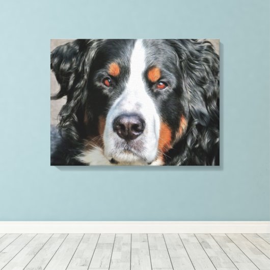 Bernese Mountain Dog Photo Afbeelding Canvas Afdruk (Insitu (Houten vloer))