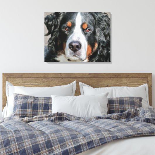 Bernese Mountain Dog Photo Afbeelding Canvas Afdruk (Insitu (Slaapkamer))