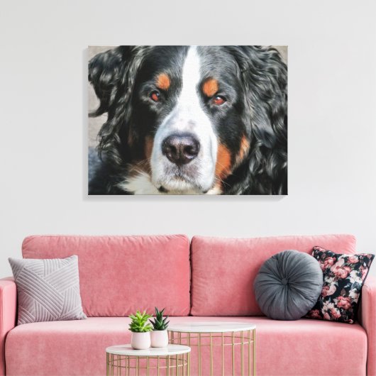 Bernese Mountain Dog Photo Afbeelding Canvas Afdruk (Insitu (Woonkamer))