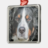 Bernese Mountain Dog Photo Afbeelding Metalen Ornament (Links)