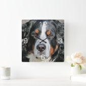 Bernese Mountain Dog Photo Afbeelding Vierkante Klok (Huis)