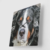 Bernese Mountain Dog Photo Afbeelding Vierkante Klok (Hoek)