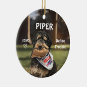 Bernese Mountain Dog Photo Ornament (Rechts)