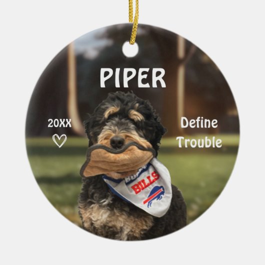 Bernese Mountain Dog Photo Ornament (Voorkant)