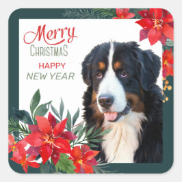 Bernese Mountain Dog Poinsettia Bouquet Kerstmis Vierkante Sticker