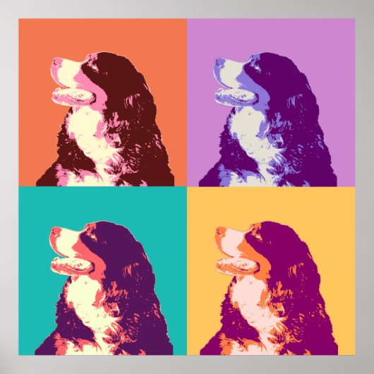 Bernese Mountain Dog Pop Art Poster (Voorkant)