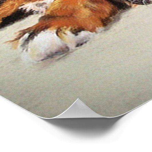 Bernese Mountain Dog Portrait Poster Print (Hoek)