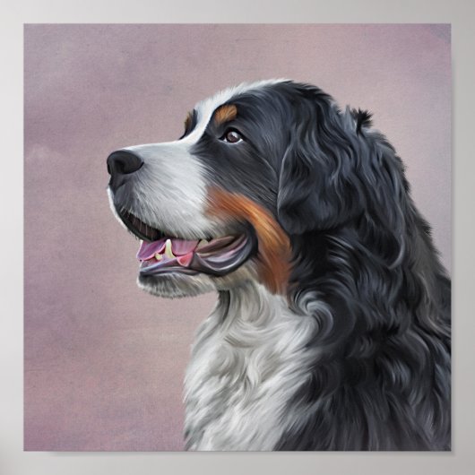 Bernese Mountain Dog Poster (Voorkant)