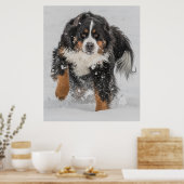 Bernese Mountain Dog Poster (Keuken)