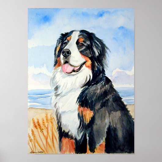 Bernese Mountain Dog Poster Print (Voorkant)