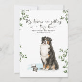 Bernese Mountain Dog Pregnancy Announcement Aankondiging (Voorkant)