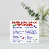 BERNESE MOUNTAIN DOG Property Laws 2 Briefkaart (Staand voorkant)