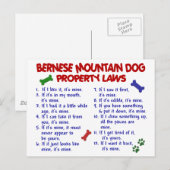 BERNESE MOUNTAIN DOG Property Laws 2 Briefkaart (Voorkant / Achterkant)