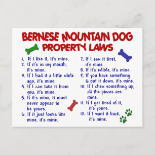 BERNESE MOUNTAIN DOG Property Laws 2 Briefkaart