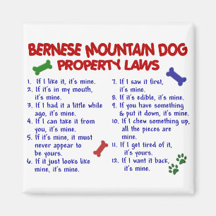 BERNESE MOUNTAIN DOG Property Laws 2 Magneet