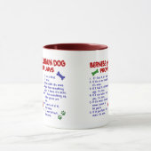 BERNESE MOUNTAIN DOG Property Laws 2 Mok (Midden)