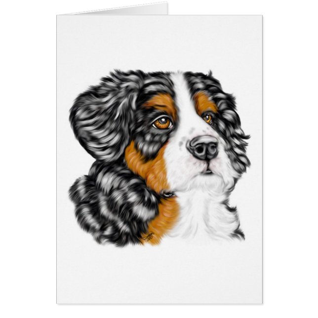 Bernese Mountain Dog Pup (Voorkant)