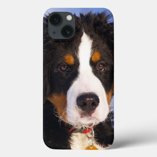 Bernese Mountain Dog Pup iPad case (Achterkant)