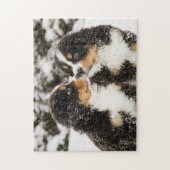 Bernese Mountain Dog Puppies die elkaar snappen Legpuzzel (Verticaal)