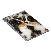 Bernese Mountain Dog Puppies die elkaar snappen Notitieboek (Rechterzijde)