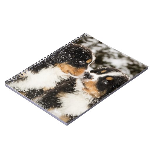 Bernese Mountain Dog Puppies die elkaar snappen Notitieboek (Linkerzijde)