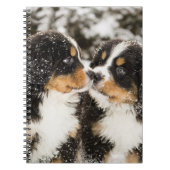Bernese Mountain Dog Puppies die elkaar snappen Notitieboek (Voorkant)