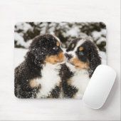 Bernese Mountain Dog Puppies die elkaar snuiffelen Muismat (Met muis)