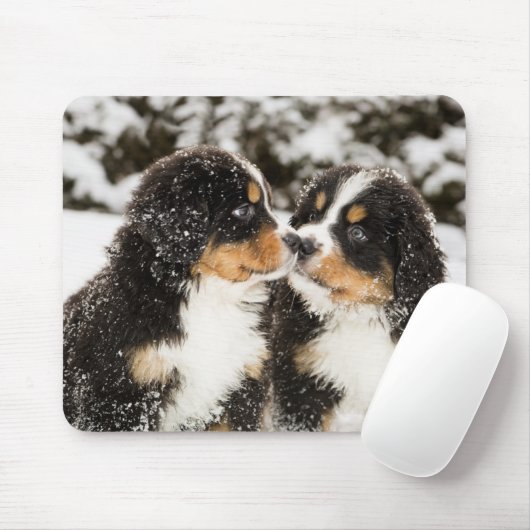 Bernese Mountain Dog Puppies die elkaar snuiffelen Muismat (Met muis)