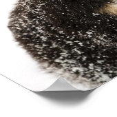 Bernese Mountain Dog Puppies die elkaar snuiffelen Poster (Hoek)